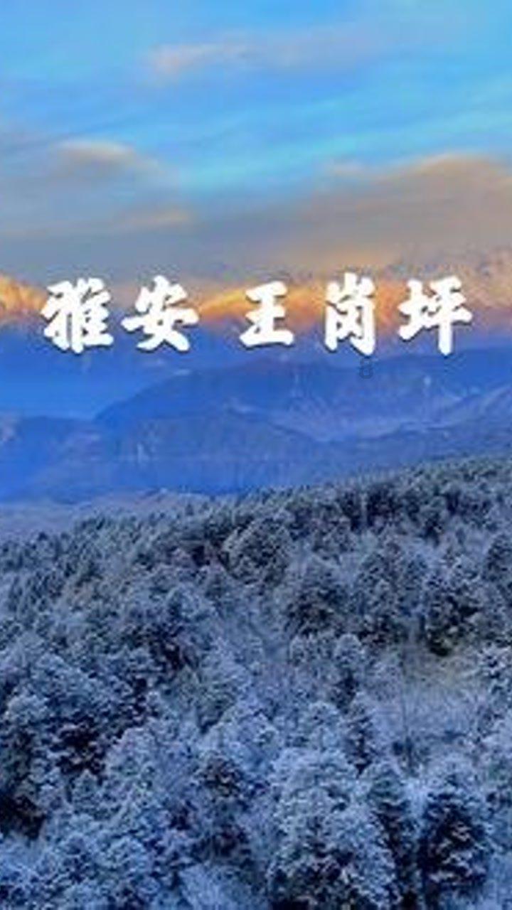 探索宝宝不喝奶粉只吃辅食,你感觉这样子好吗?领域,汇聚行业热点,发现新视角-宝宝不喝奶粉只吃辅食,你感觉这样子好吗?红迪网
